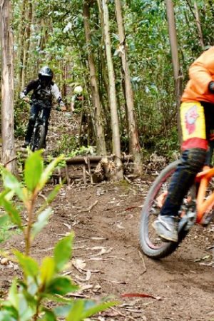 CICLISMO
